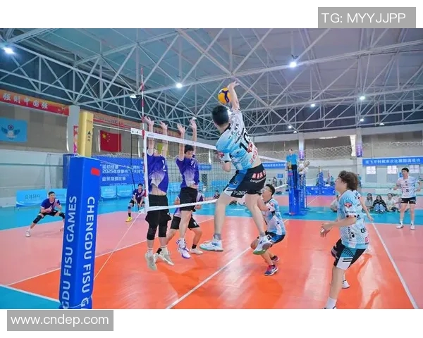 成都排球队实力引发热议球迷观点大相径庭的背后故事