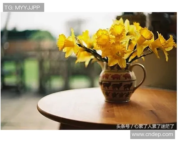 王岚:从平凡到卓越的奋斗之路与人生感悟分享